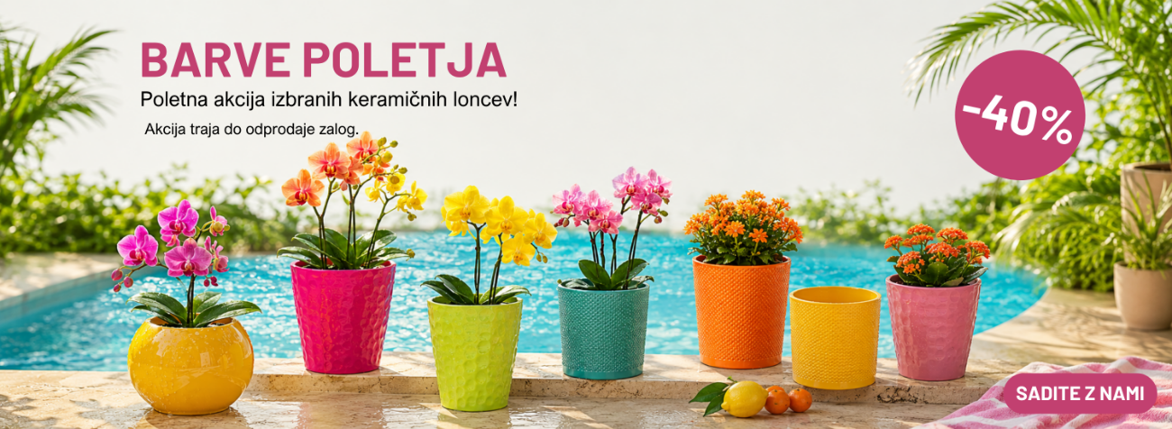 -40% na izbrane keramične lonce